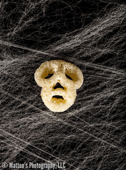 A Cheesy Bag of Bones, Axiom Design Group photography