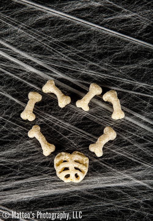 A Cheesy Bag of Bones, Axiom Design Group photography