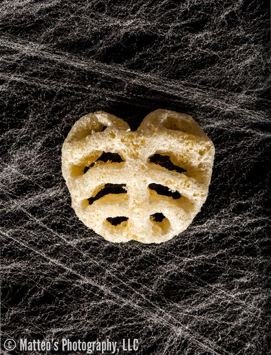 A Cheesy Bag of Bones, Axiom Design Group photography