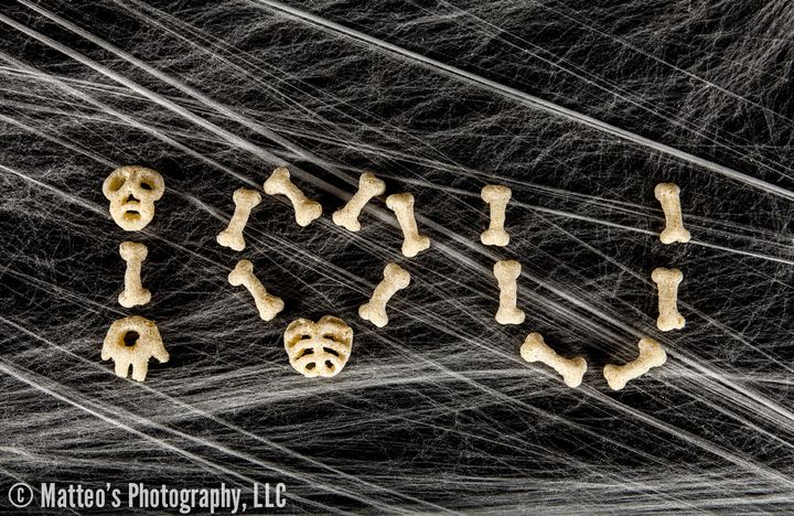 A Cheesy Bag of Bones, Axiom Design Group photography