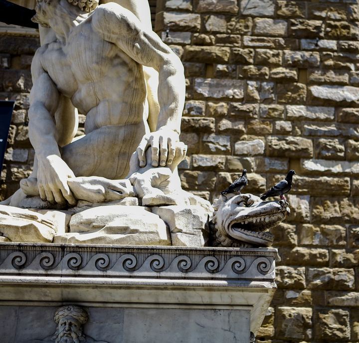 Al Duomo e ritorno, Axiom Design Group photography
