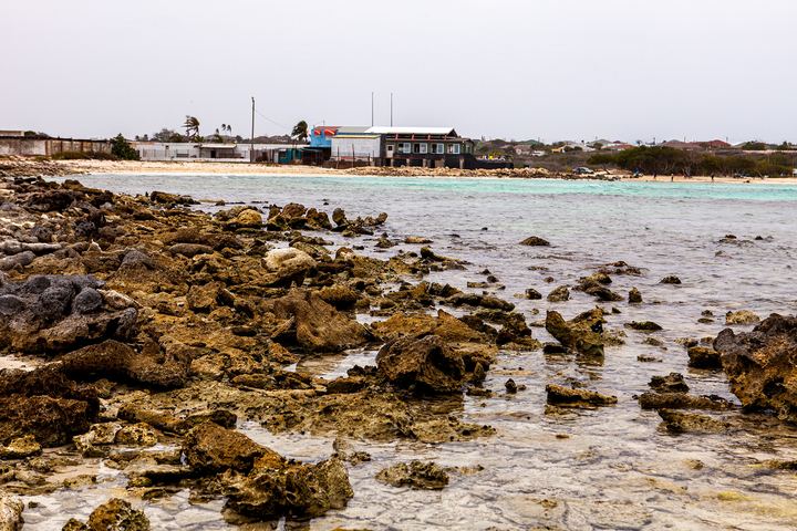 Aruba '19, Axiom Design Group photography