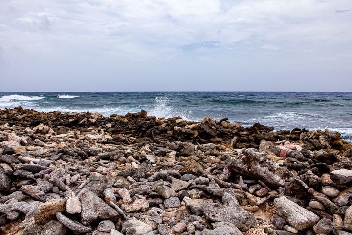 Aruba '19, Axiom Design Group photography
