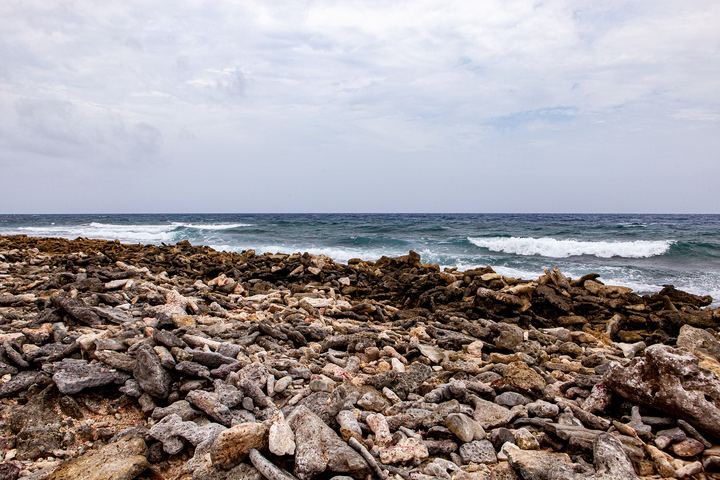 Aruba '19, Axiom Design Group photography