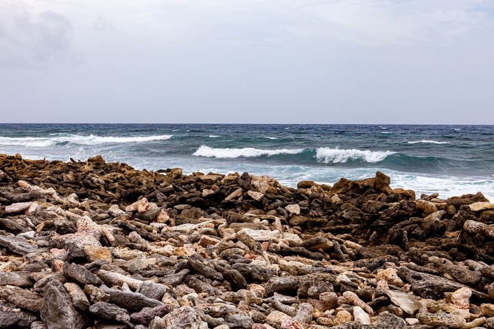 Aruba '19, Axiom Design Group photography