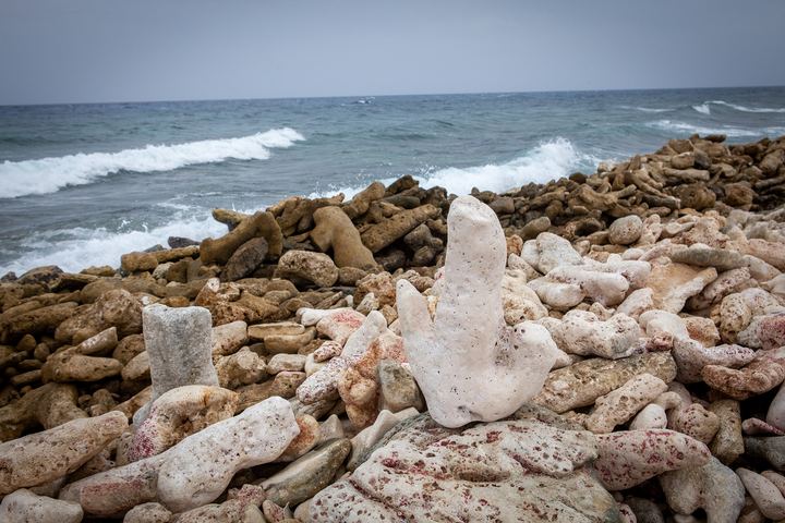 Aruba '19, Axiom Design Group photography