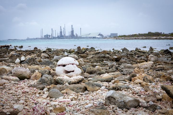 Aruba '19, Axiom Design Group photography