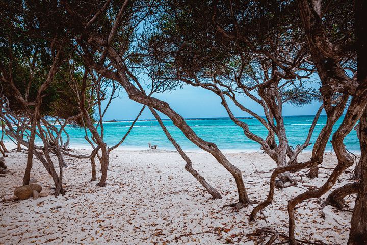 Aruba '19, Axiom Design Group photography