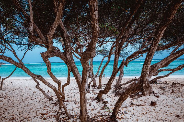 Aruba '19, Axiom Design Group photography