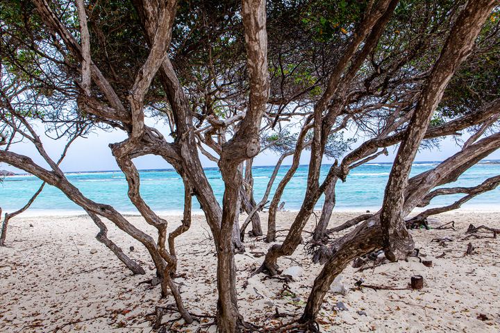 Aruba '19, Axiom Design Group photography