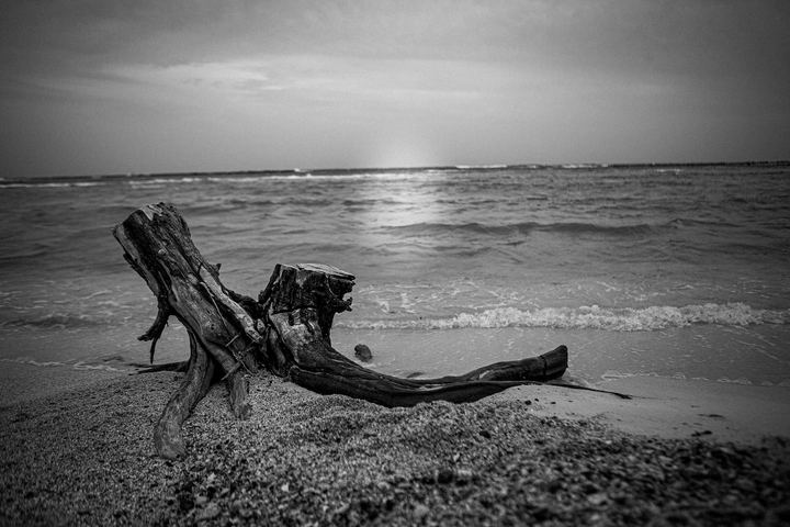 Aruba '19, Axiom Design Group photography