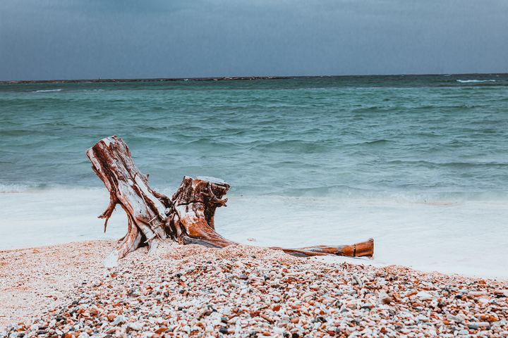 Aruba '19, Axiom Design Group photography