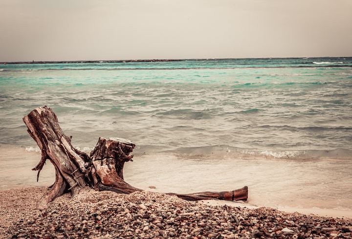 Aruba '19, Axiom Design Group photography