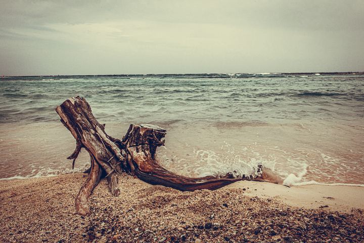 Aruba '19, Axiom Design Group photography