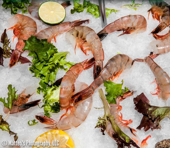 Catch of the Day, Axiom Design Group photography