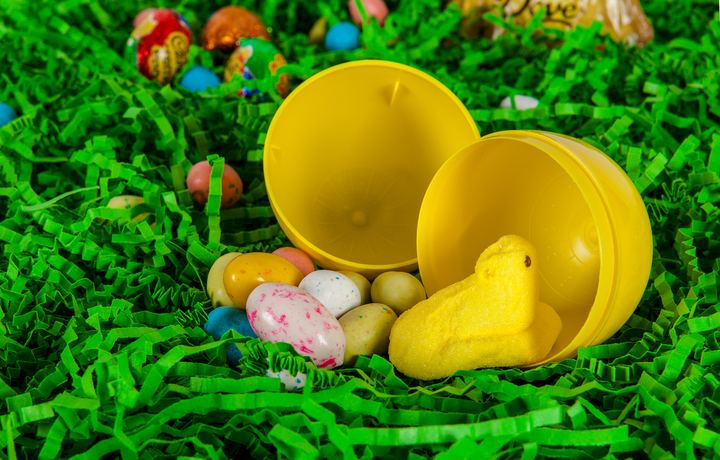 Easter Fun, Axiom Design Group photography