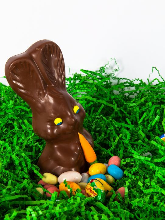 Easter Fun, Axiom Design Group photography