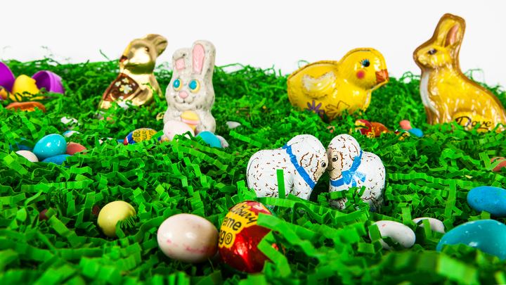 Easter Fun, Axiom Design Group photography