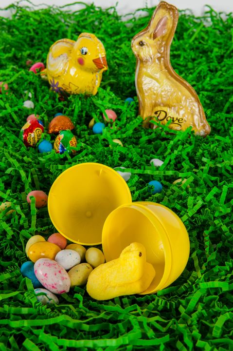 Easter Fun, Axiom Design Group photography