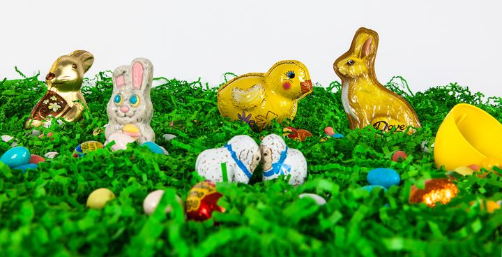 Easter Fun, Axiom Design Group photography