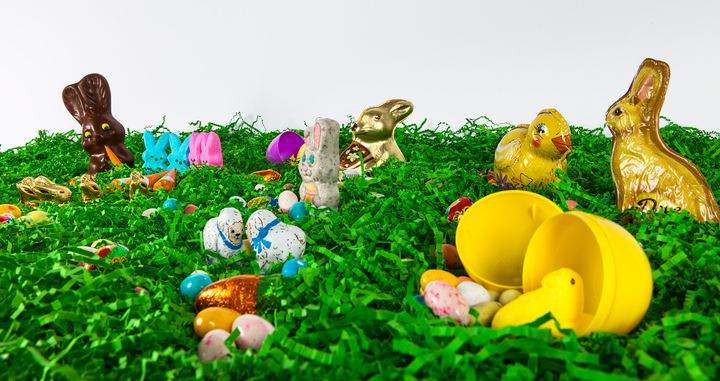 Easter Fun, Axiom Design Group photography