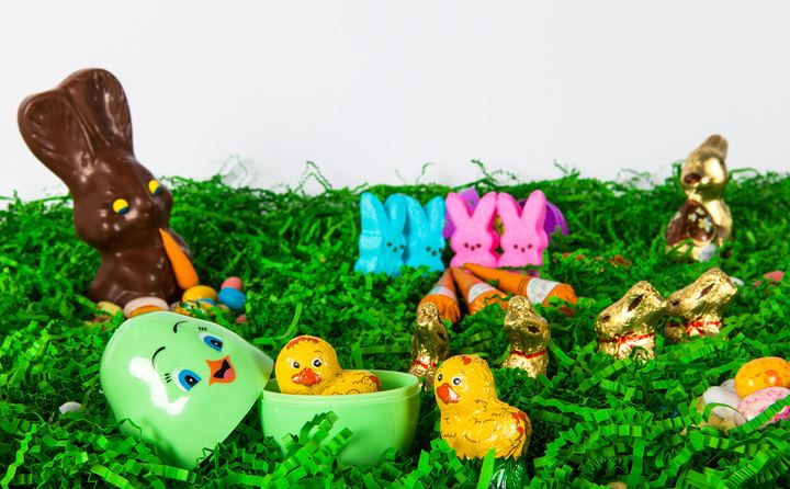 Easter Fun, Axiom Design Group photography