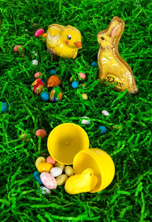 Easter Fun, Axiom Design Group photography