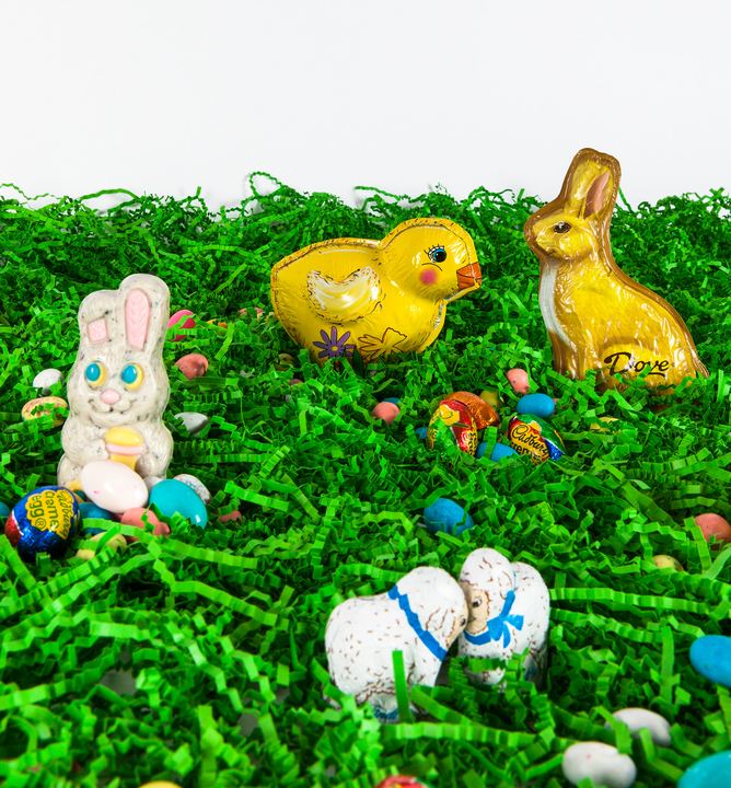 Easter Fun, Axiom Design Group photography