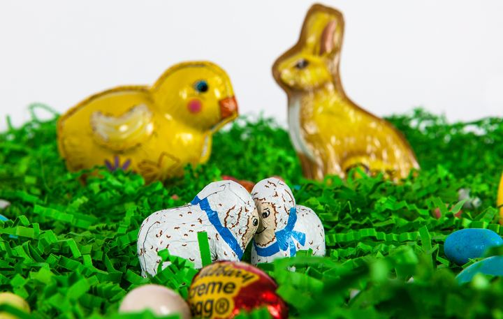Easter Fun, Axiom Design Group photography