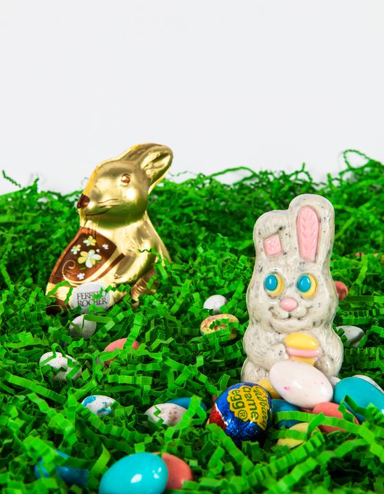 Easter Fun, Axiom Design Group photography