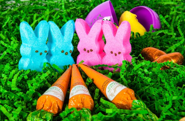Easter Fun, Axiom Design Group photography