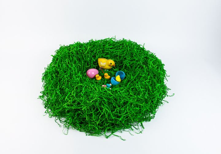 Easter Fun, Axiom Design Group photography