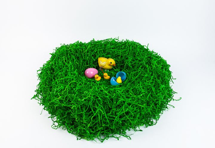 Easter Fun, Axiom Design Group photography