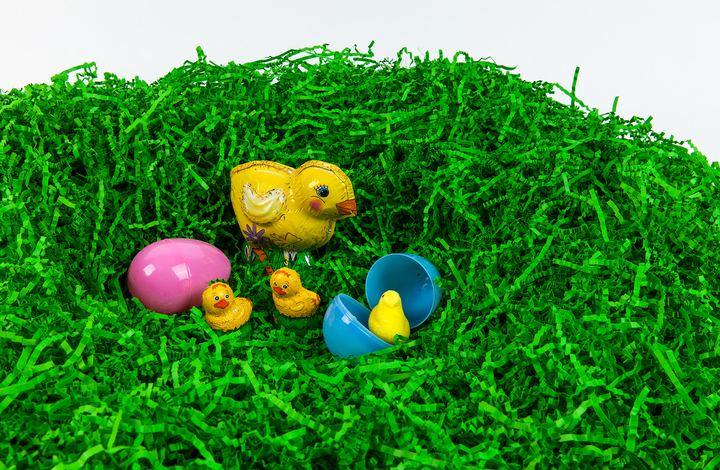 Easter Fun, Axiom Design Group photography