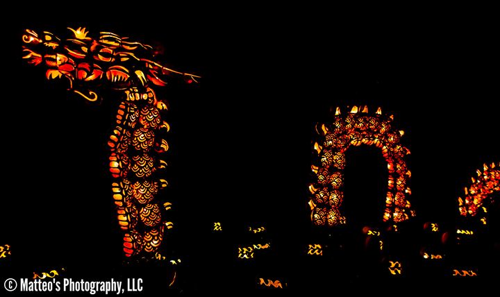 The Great Jack O'Lantern Blaze, Axiom Design Group photography