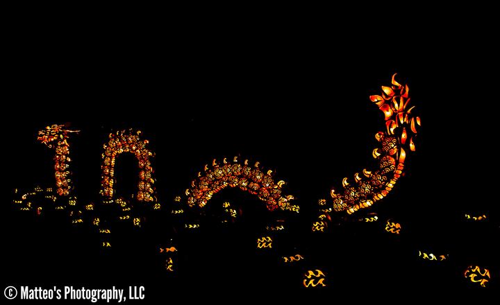 The Great Jack O'Lantern Blaze, Axiom Design Group photography