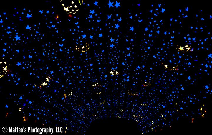 The Great Jack O'Lantern Blaze, Axiom Design Group photography