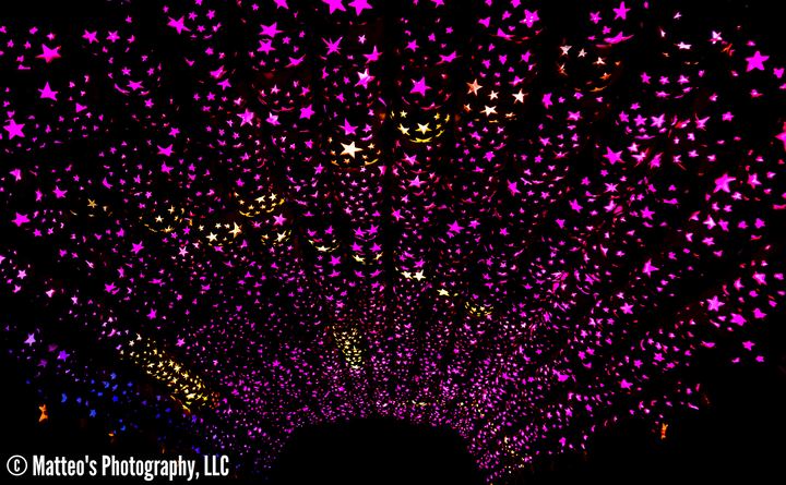 The Great Jack O'Lantern Blaze, Axiom Design Group photography