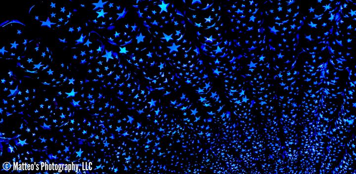 The Great Jack O'Lantern Blaze, Axiom Design Group photography