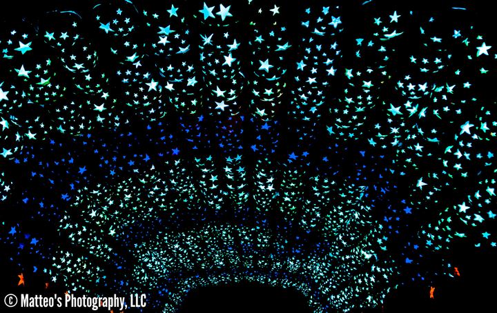 The Great Jack O'Lantern Blaze, Axiom Design Group photography