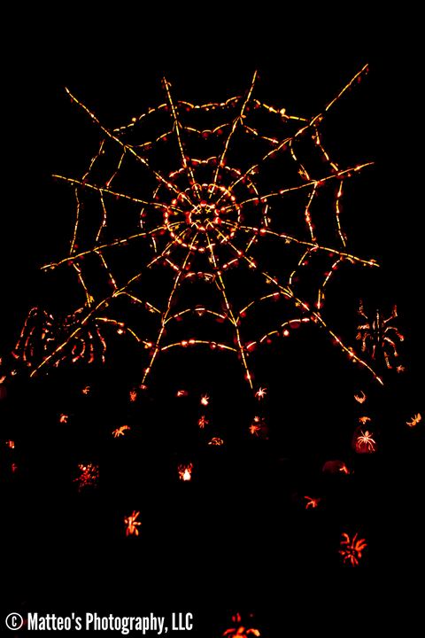 The Great Jack O'Lantern Blaze, Axiom Design Group photography