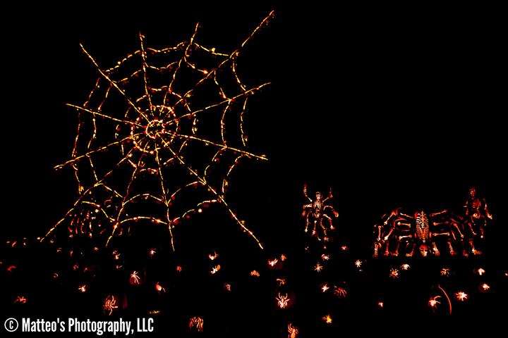 The Great Jack O'Lantern Blaze, Axiom Design Group photography