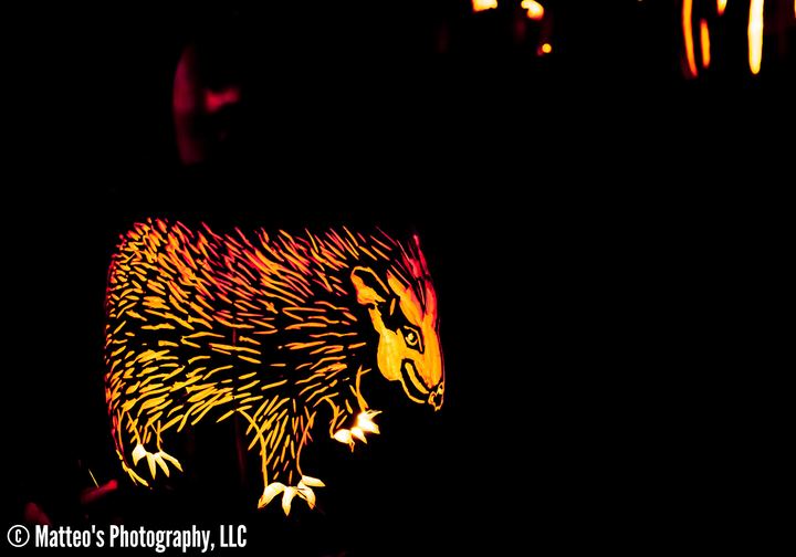 The Great Jack O'Lantern Blaze, Axiom Design Group photography
