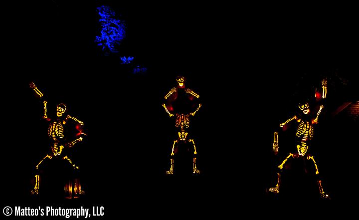The Great Jack O'Lantern Blaze, Axiom Design Group photography