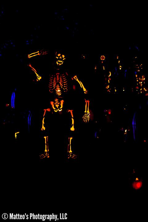 The Great Jack O'Lantern Blaze, Axiom Design Group photography