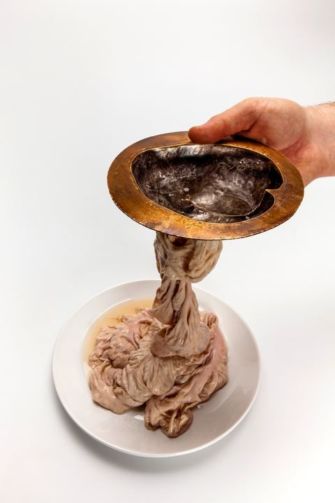 The Pig's Part of the Meal, Axiom Design Group photography