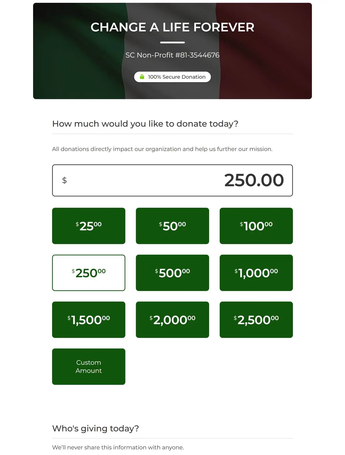 Change a Life Forever donation form with preset dollar amounts and a custom amount button